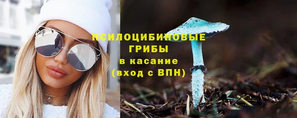 бошки Медвежьегорск