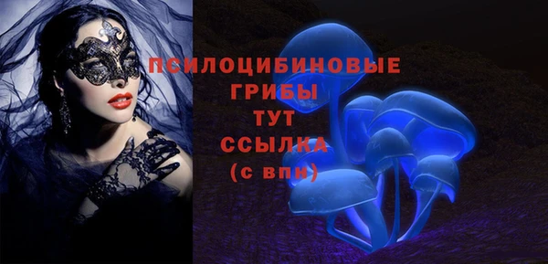 бутират Мегион